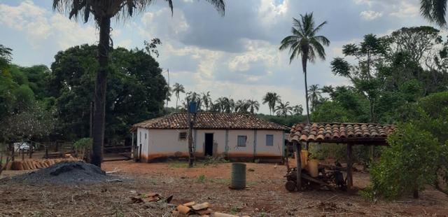 Fazenda 38 Alqueires em Bela Vista - Foto 4