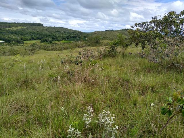 Sítio com 38 hectares as margens do Ribeirao Ze Pedro!
