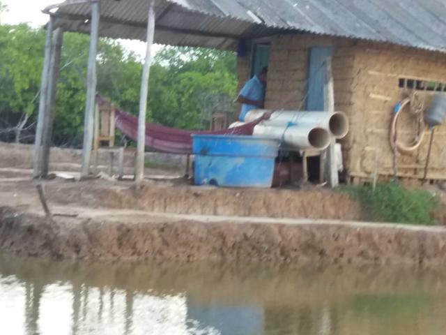 Vende se ou troca em carro de meu interesso um viveiro de camarão em pirambu - Foto 4