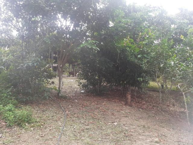 Chácara próximo às cachoeiras - Foto 5