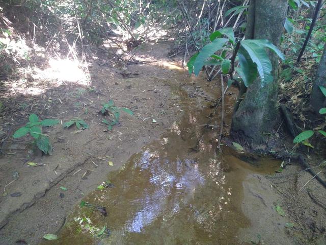 Chácara rego e córrego Bela vista - Foto 8