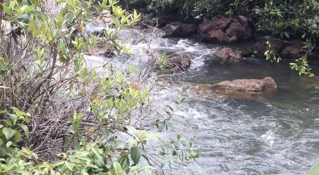 Sitio no Formoso - Buritizeiro MG