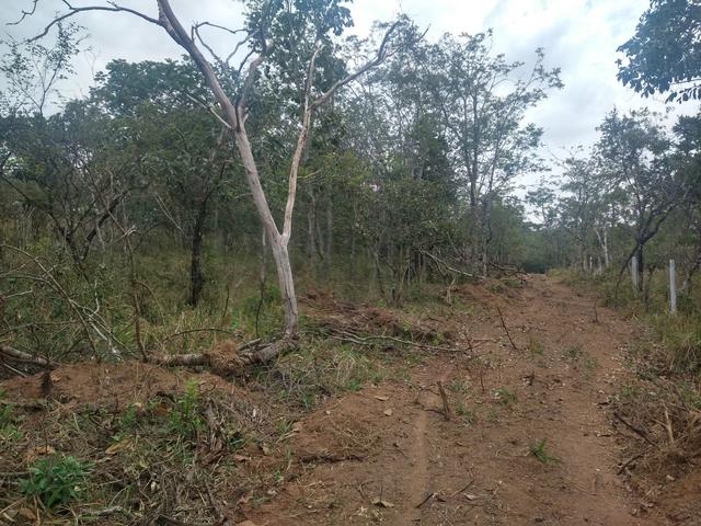 Chácara rego e córrego Bela vista - Foto 12