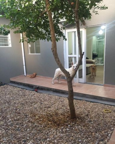 Casa a venda no bairro Cidade Jardim, Sorocaba, 3 dormitórios sendo 1 suíte - Foto 18