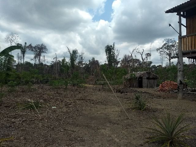 Vendo sitio no lago da samuel 50 mil - Foto 4