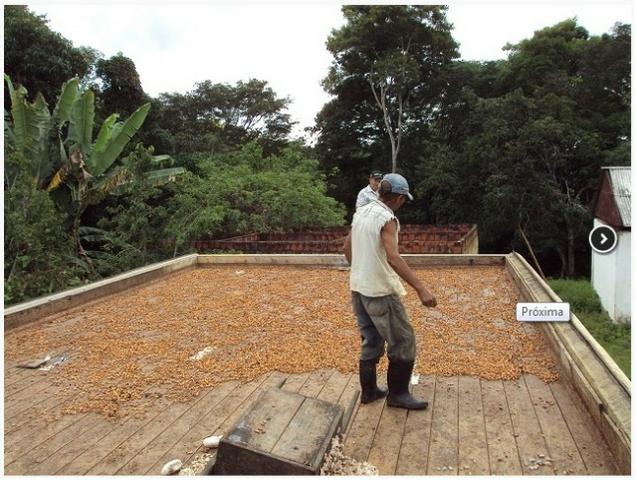 Fazenda, bairro do Japú, em Ilhéus - BA - Foto 4