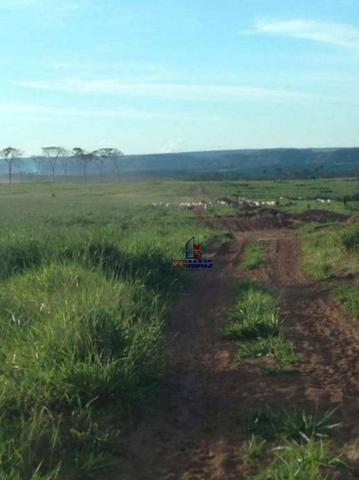 Belíssima fazenda a venda na divisa de Rondônia com o estado de mato grosso - Foto 20