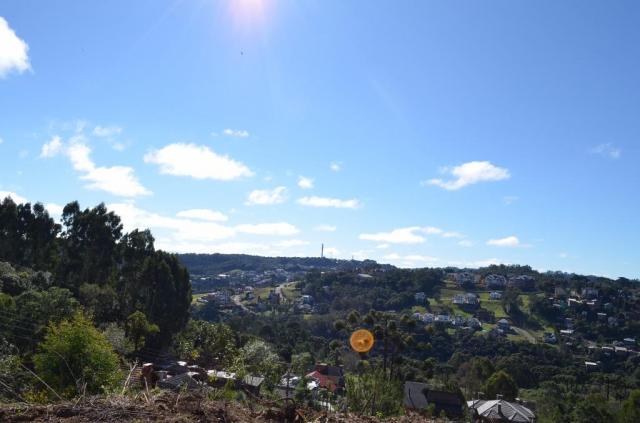 Terreno residencial à venda, vale das colinas, gramado.