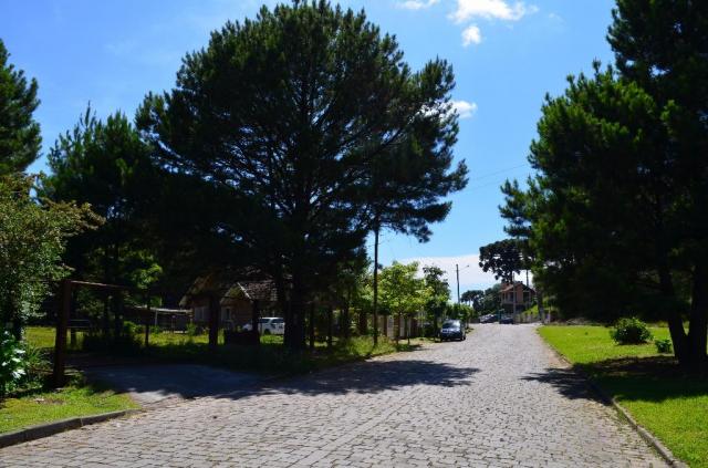 Terreno à venda, 3945 m² por R$ 3.500.000,00 - Centro - Canela/RS - Foto 5