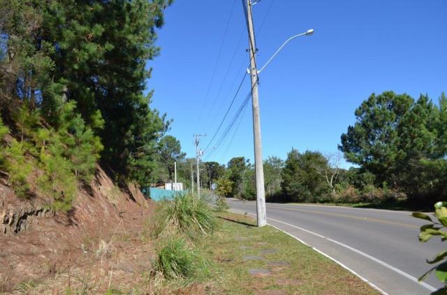 Terreno à venda, 831 m² por r$ 290.000,00 - mato queimado - gramado/rs - Foto 11
