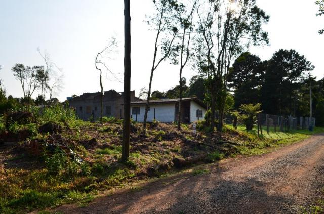 Terreno residencial à venda, vale dos pinheiros, gramado. - Foto 2