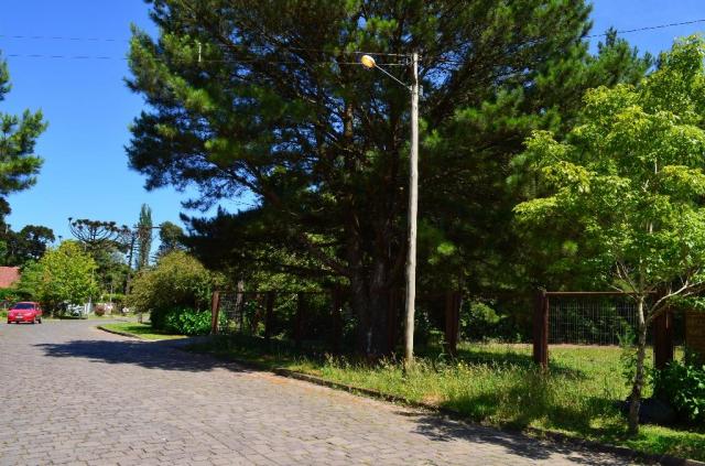 Terreno à venda, 3945 m² por R$ 3.500.000,00 - Centro - Canela/RS - Foto 3