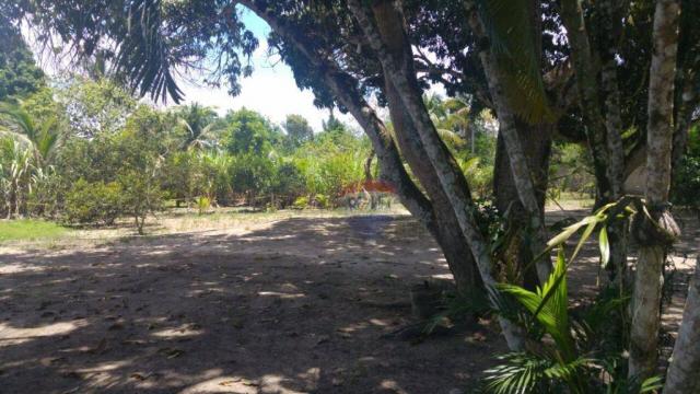Sítio rural à venda, Juca Rosa, Eunápolis - SI0001. - Foto 14