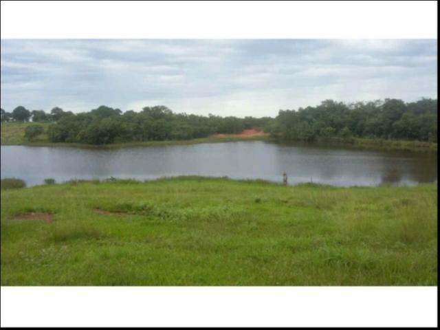 Fazenda em Cáceres 700 hectares - Foto 4