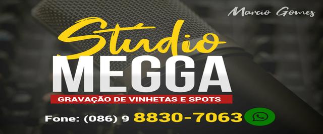 Gravação de Vinhetas barato