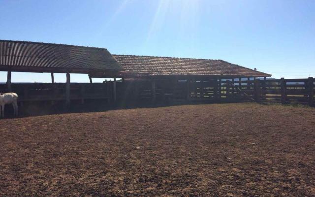 Fazenda em Nova Olímpia MT 550 hectares - Foto 4