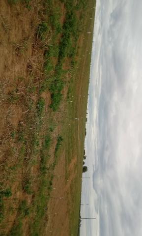 Lotes - Foto 2