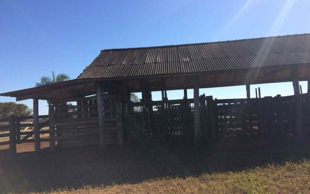 Fazenda em Nova Olímpia MT 550 hectares - Foto 5
