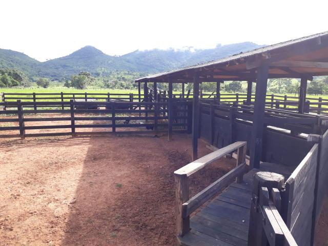 Fazenda em Santo Antônio á venda - Foto 4
