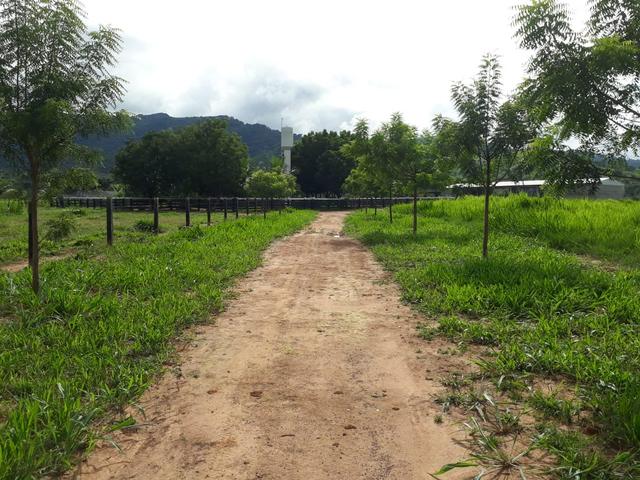 Fazenda em Santo Antônio á venda - Foto 19