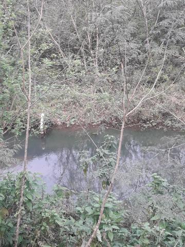Sitío - Foto 16