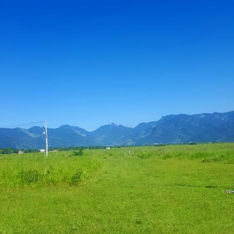 Vendo sítio de 17.718 m2 - Foto 4