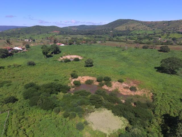 Sítio 12 Hectares c/ Casa sede de 3 Quartos em Serra Negra - Foto 15