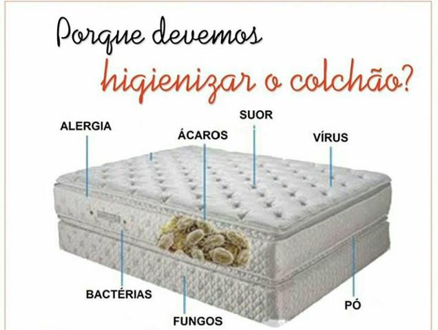Limpeza e proteçao em domicilio - Foto 3