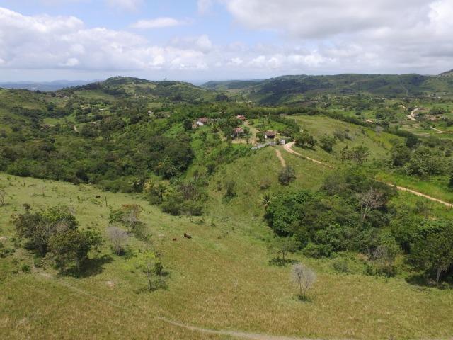 Sítio 7 Hectares - 5 Nascentes em Chã Grande - Foto 5