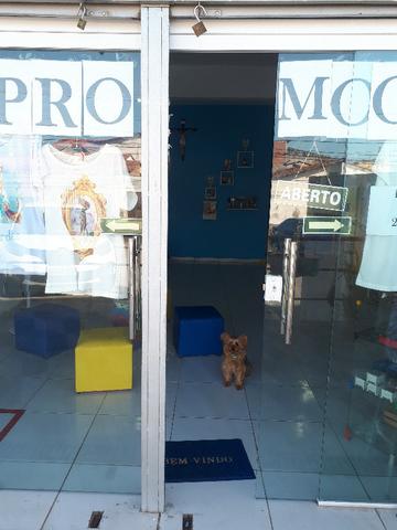Porta de Vidro para Loja - Foto 2