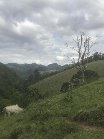 Vendo chácara - Foto 2