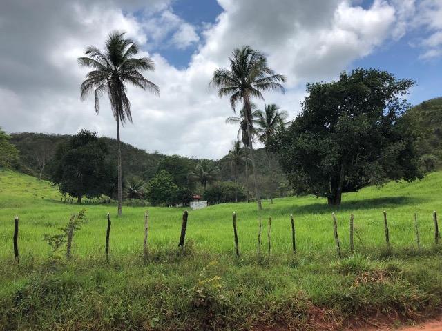 Fazenda Rio Branco - Foto 6