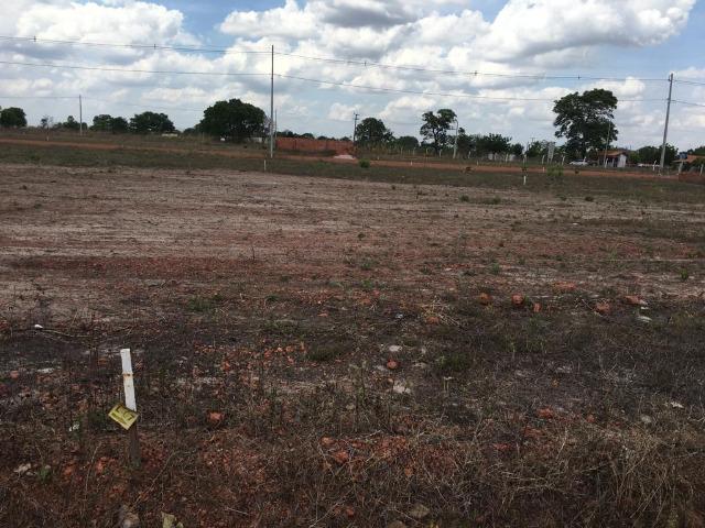 Terreno em José de Freitas-PI - Foto 7