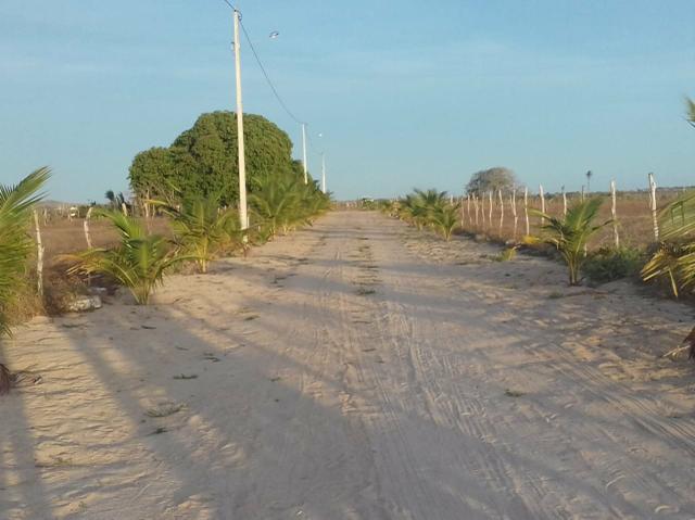 Vendo linda chácara a 8 km de tangara - Foto 5