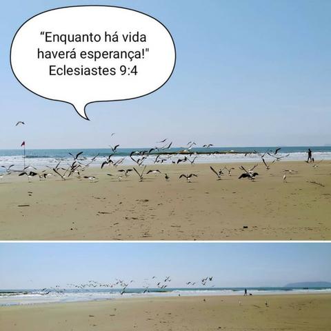 Locação para temporada em Itapoá-SC - Apto com piscina - Foto 20