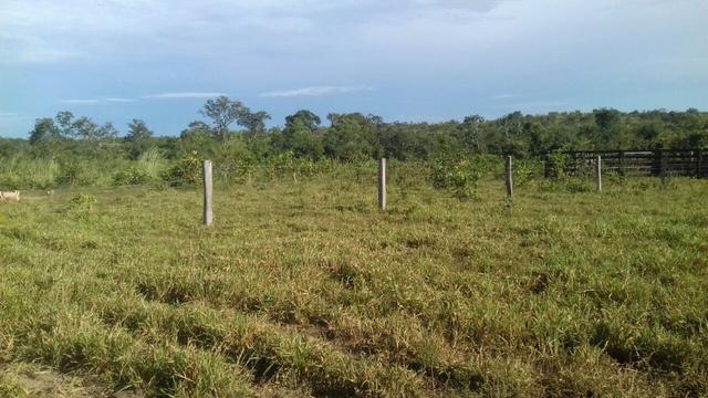 Vendo Sitio / Chácara 72 hectares, Pecuária ou lavoura, Casa, energia, Agua, Nobres - Foto 3