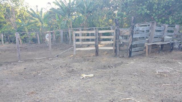Fazenda em novo acordo - Foto 4