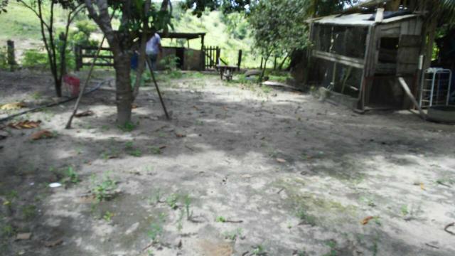 Sitio - Foto 9