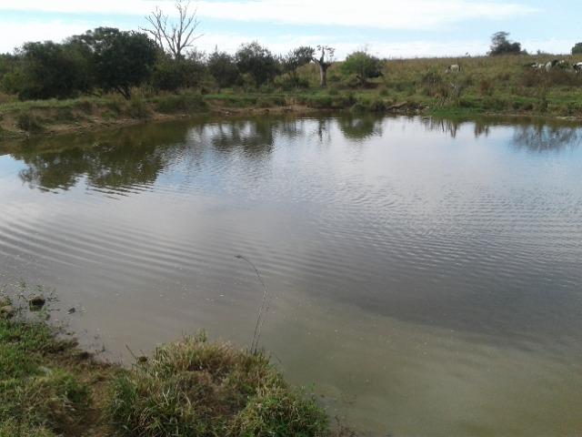 Fazenda de 51 alqueires - Foto 10