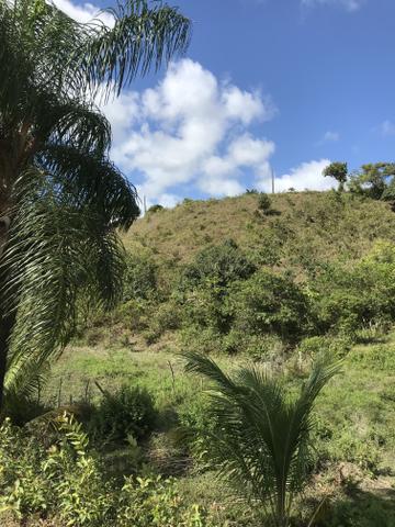 Sítio em Barreiros - Foto 2