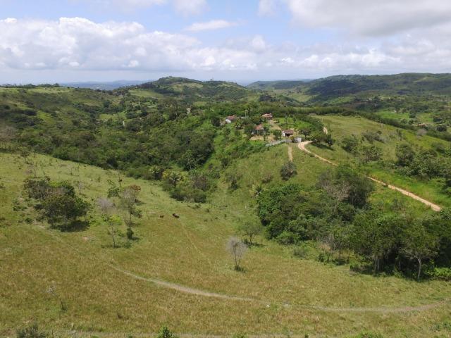 Sítio 7 Hectares - 5 Nascentes em Chã Grande - Foto 8