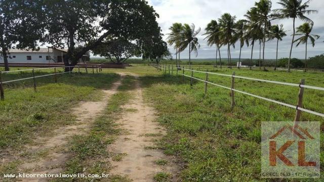 Grande oportunidade, fazenda com 37 hectares, casa sede, em Ielmo Marinho - Foto 5