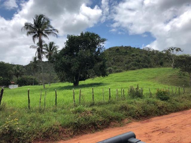 Fazenda Rio Branco - Foto 17
