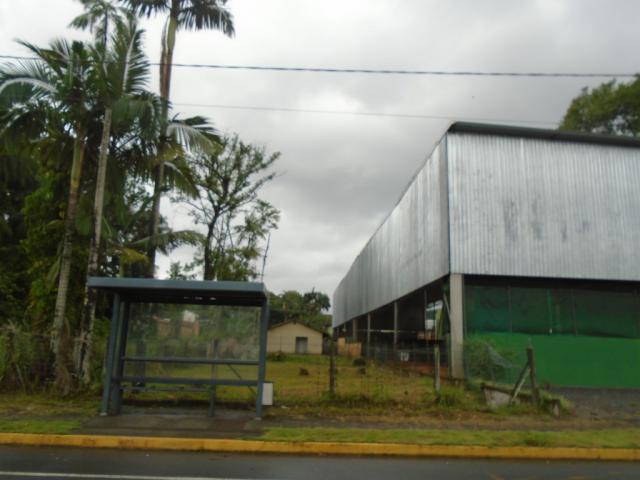 Terreno para alugar em America, Joinville cod:05753.004 - Foto 2