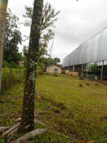 Terreno para alugar em America, Joinville cod:05753.004 - Foto 15