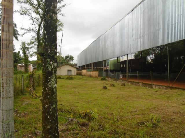 Terreno para alugar em America, Joinville cod:05753.004 - Foto 13