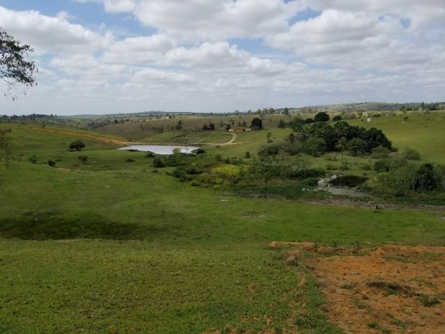 Fazenda a venda no extremo sul da bahia 170 ha - Foto 4