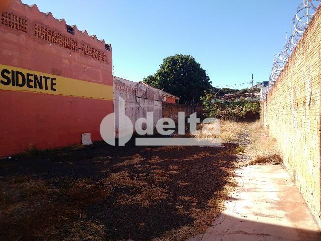 Terreno para alugar com 0 dormitórios em Umuarama, Uberlândia cod:567245 - Foto 2