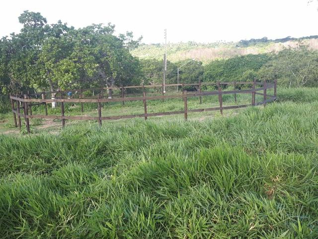 Sítio com 11.67 hectares em Igarassu/PE - Foto 15