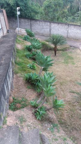 Casa no Arcadia - Foto 14